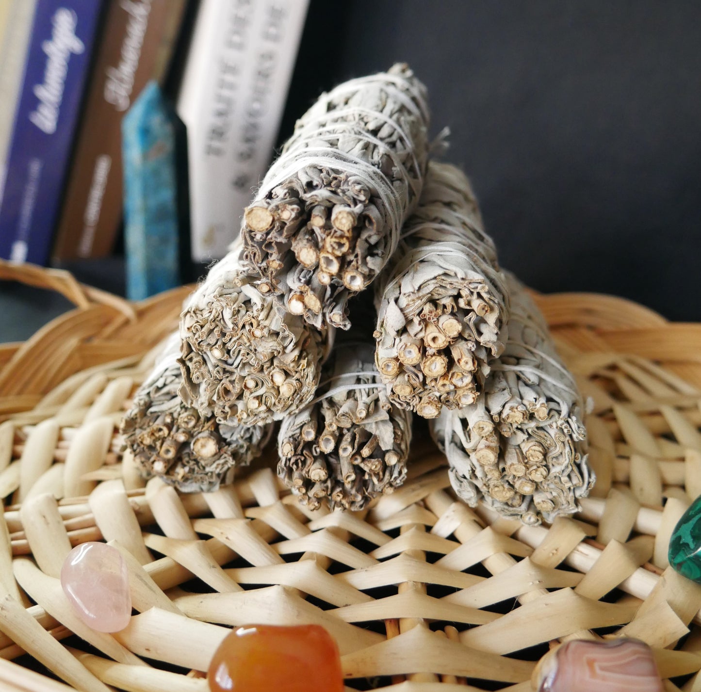 Bâton de Sauge blanche