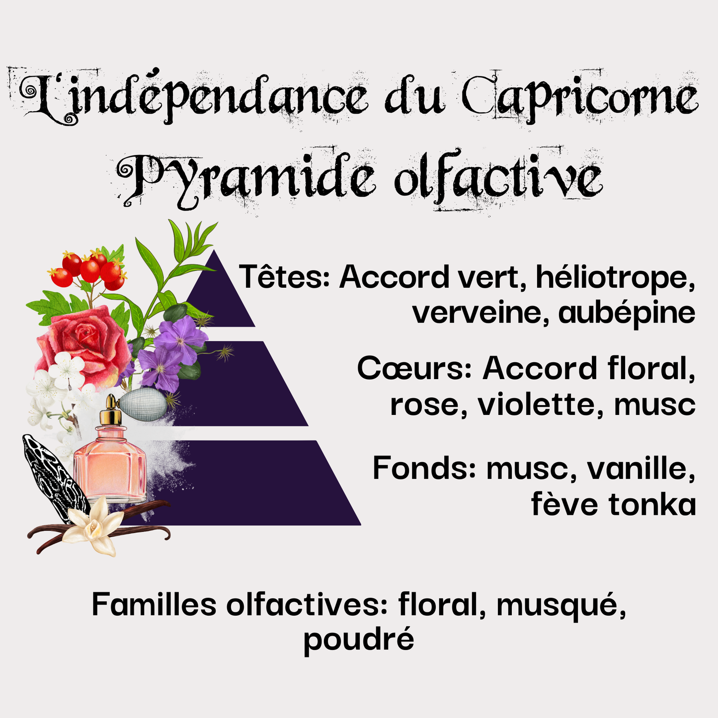 Coffret L'indépendance du Capricorne (22 décembre - 20 janvier)