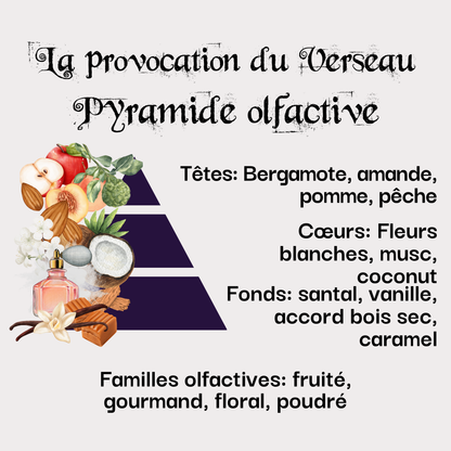 Coffret La provocation du Verseau (20 janvier - 18 février)