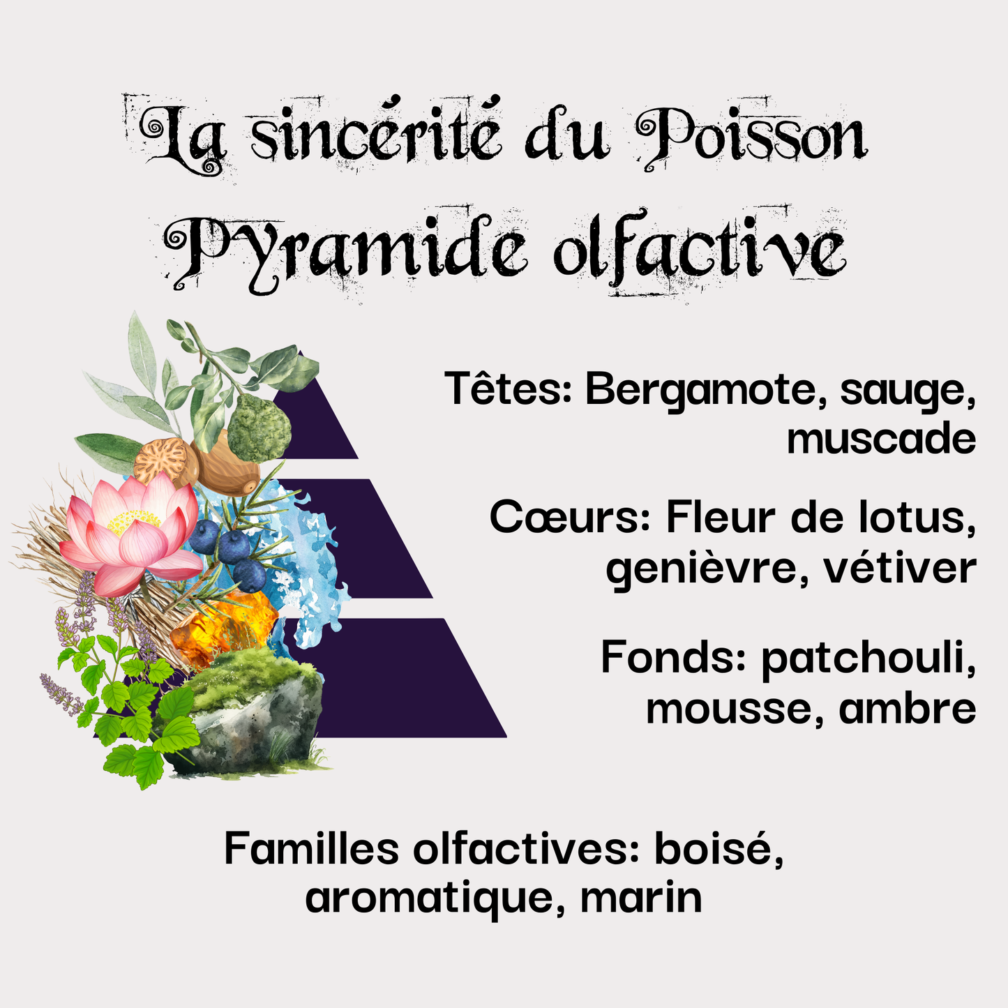 Coffret La sincérité du Poisson (19 février - 20 mars)