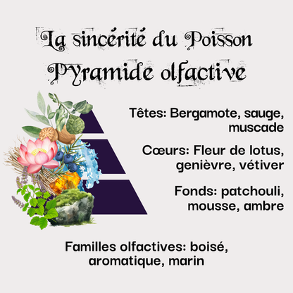 Coffret La sincérité du Poisson (19 février - 20 mars)