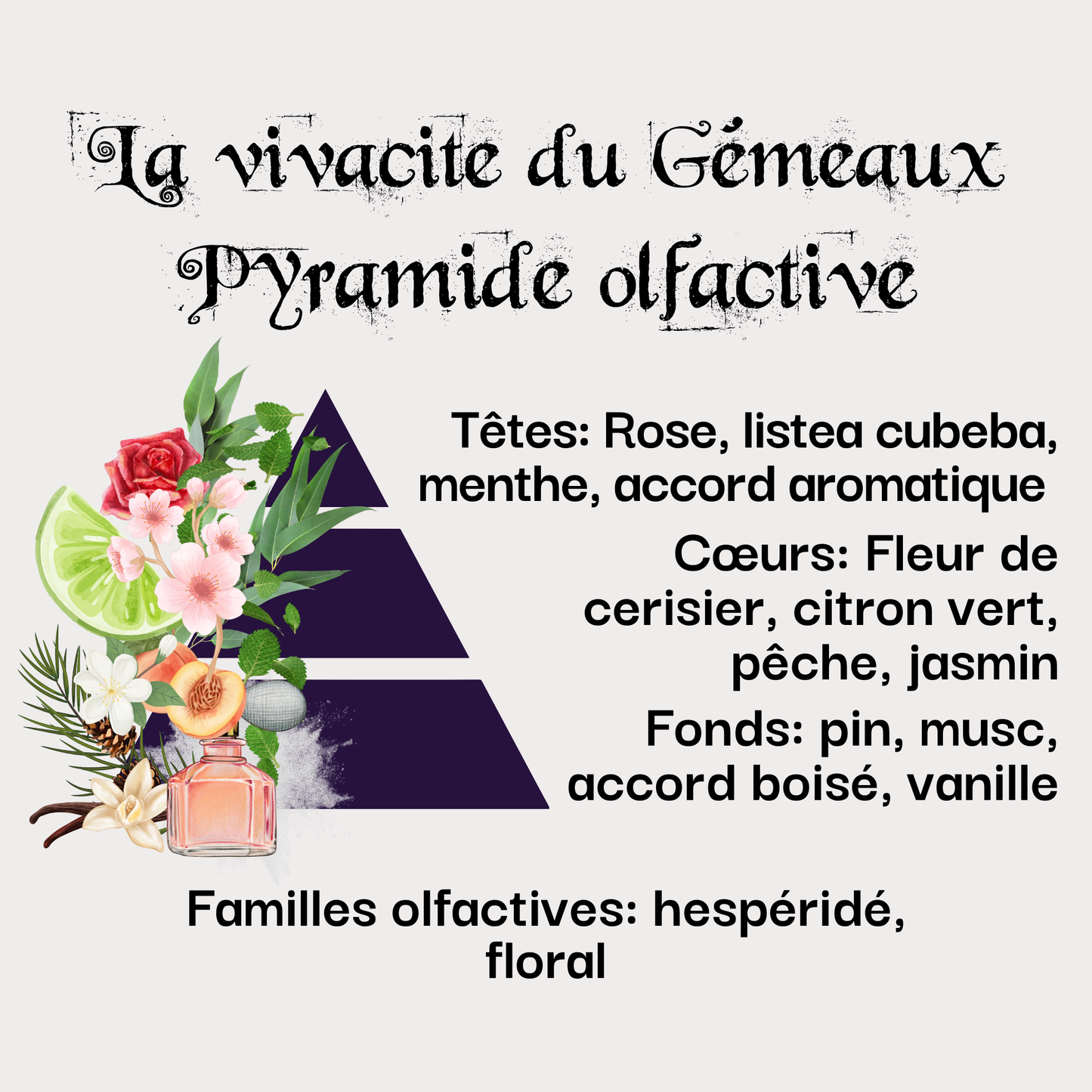 Bougie La vivacité du Gémeaux (21 mai - 20 juin)