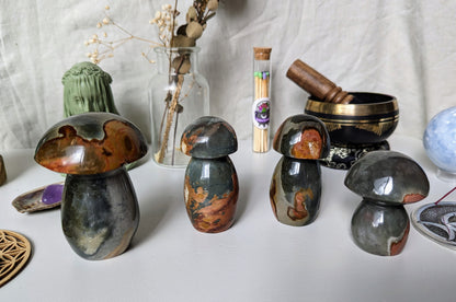 Champignons en Jaspe Impérial (Polychrome) – Pierre naturelle de courage et d’abondance