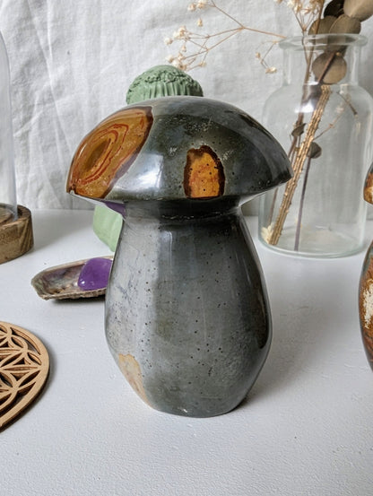 Champignons en Jaspe Impérial (Polychrome) – Pierre naturelle de courage et d’abondance