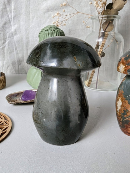 Champignons en Jaspe Impérial (Polychrome) – Pierre naturelle de courage et d’abondance