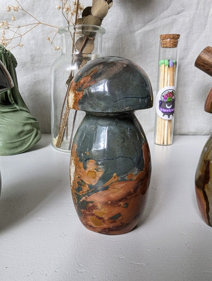 Champignons en Jaspe Impérial (Polychrome) – Pierre naturelle de courage et d’abondance