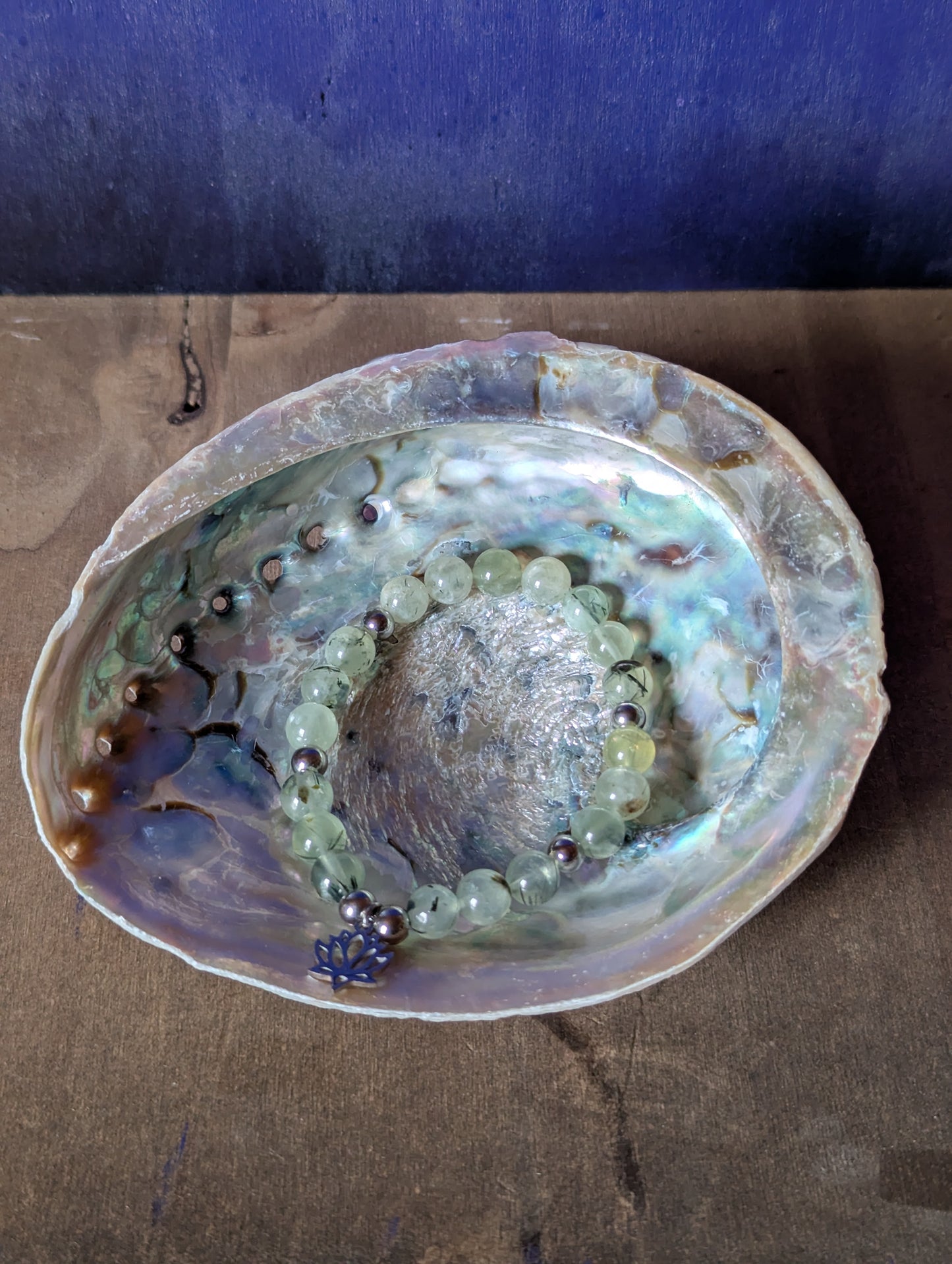 Coquille d'ormeau XXL