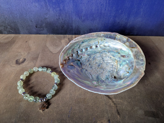 Coquille d'ormeau XXL