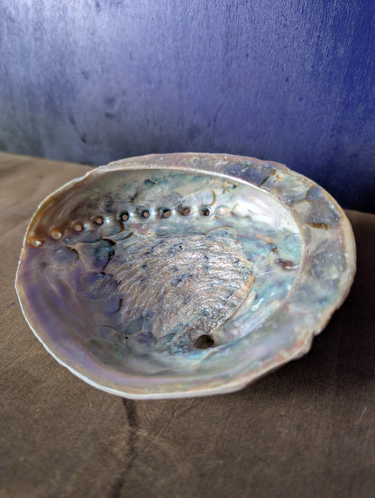 Coquille d'ormeau XXL – Recharge & rituels