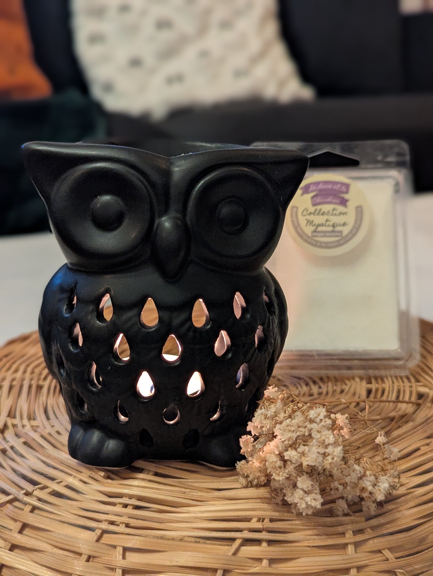 Brûle-parfum Hibou Noir