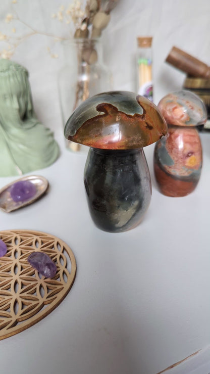 Champignons en Jaspe Impérial (Polychrome) – Pierre naturelle de courage et d’abondance
