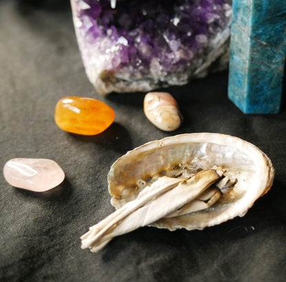 Coquille d'ormeau – Recharge & fumigation